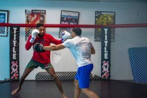 UFC vs Boxing: Key Differences Every Fan Should Know