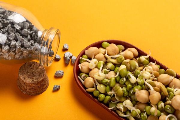 iron rich foods for athletes