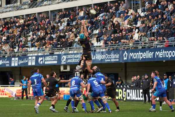 rugby world cup format